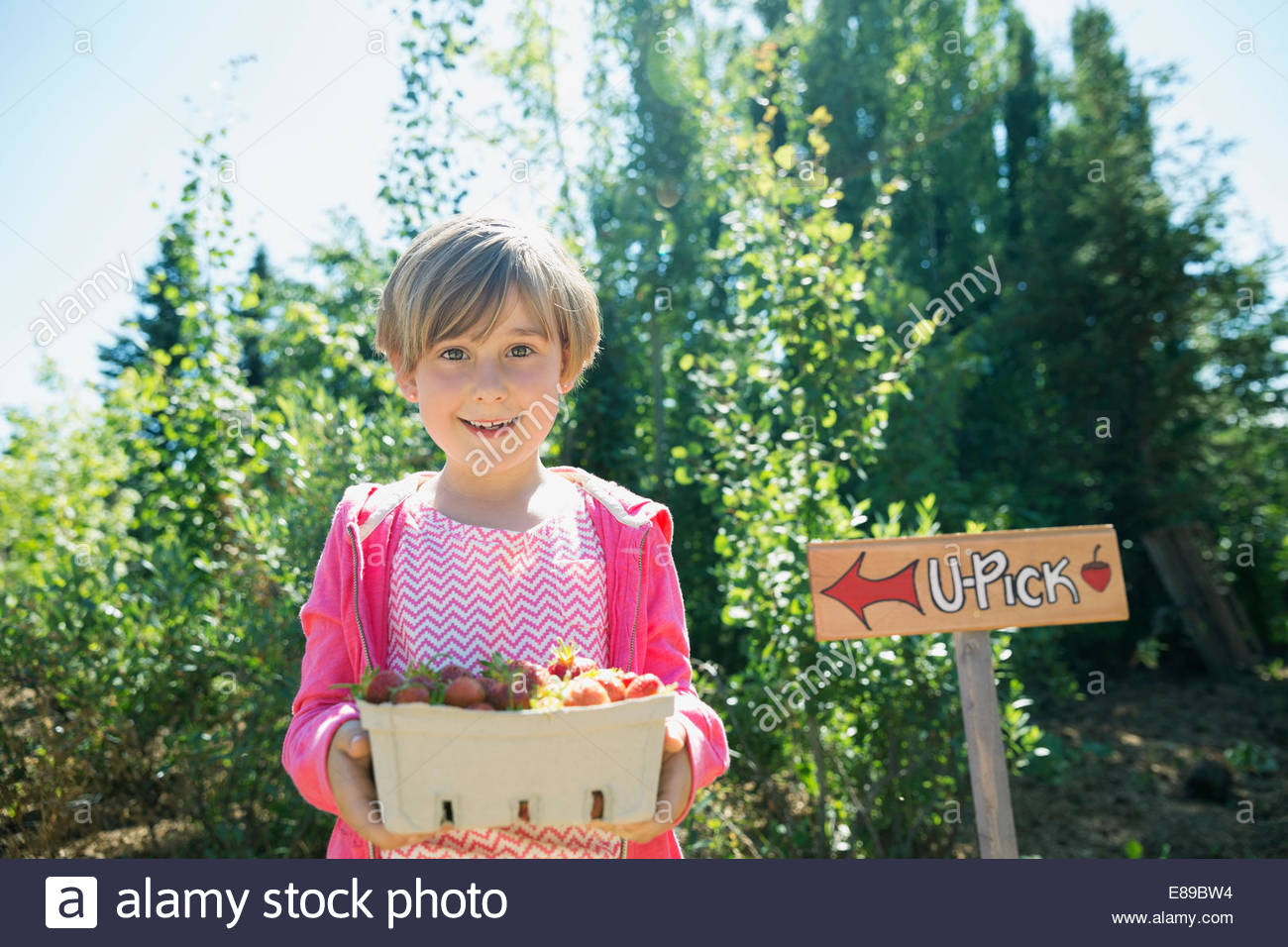 Portrait of smiling girl holding fresh picked strawberries Stock Photo