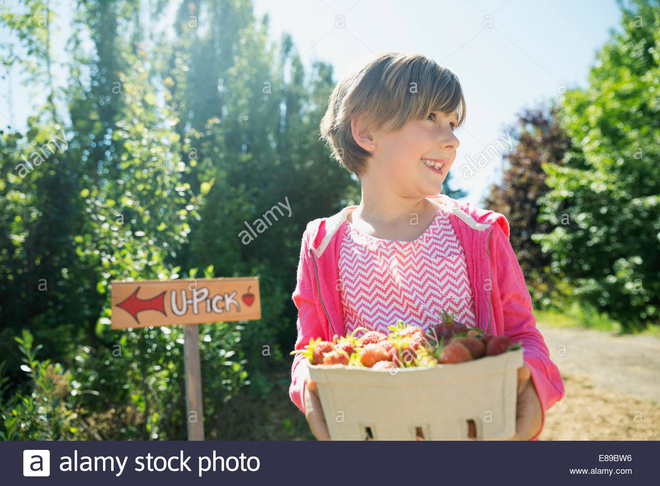 Smiling girl holding fresh picked strawberries Stock Photo
