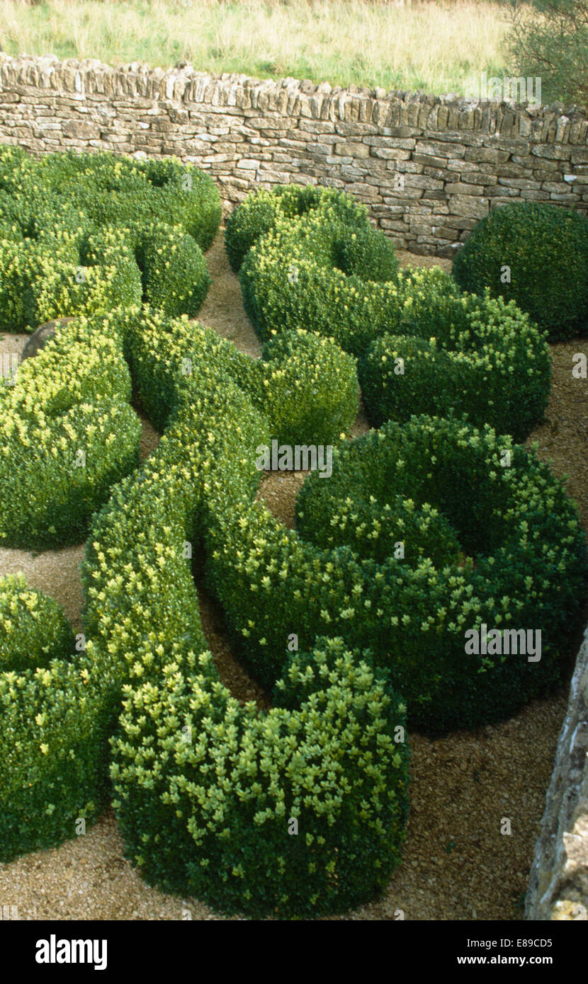 Birdseye view of clipped topiary in stone walled garden Stock Photo
