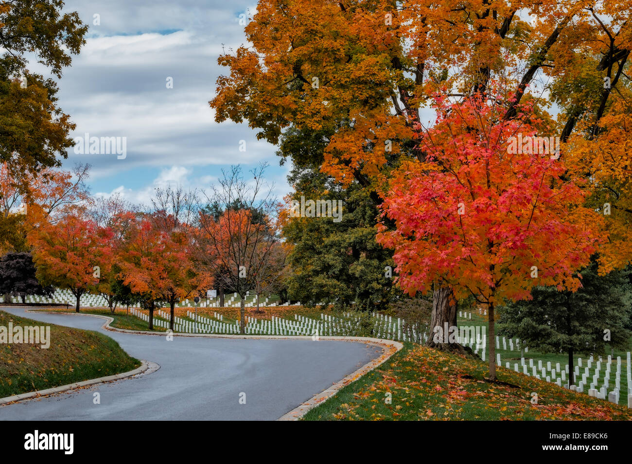 Fall foliage at their peak adorn the head stones of our brave soldiers at Arlington National Cemetery in Virginia. Stock Photo