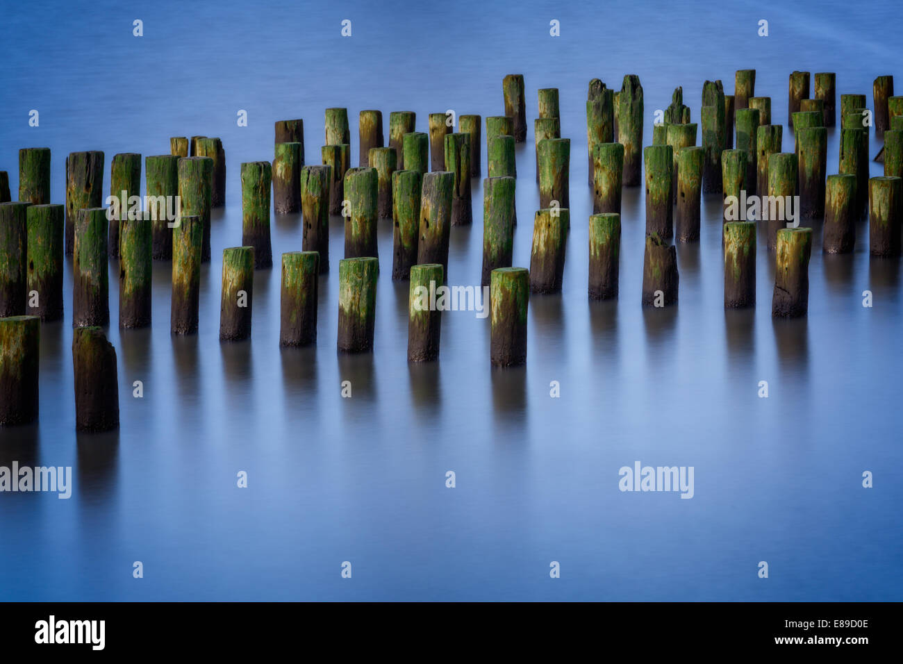 Tranquil waters with pilings at the Hudson River during the blue hour at sunset. Stock Photo