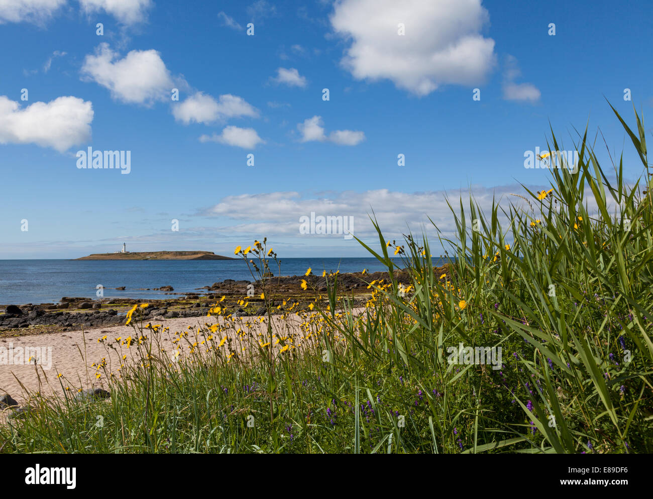 Pladda island hires stock photography and images Alamy