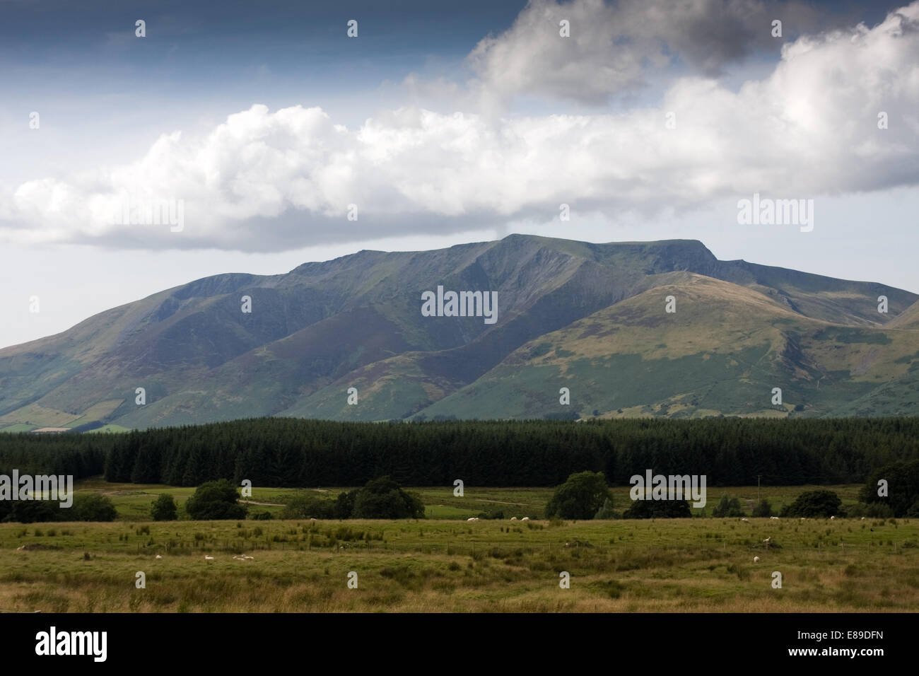 Saddleback mountain hires stock photography and images Alamy