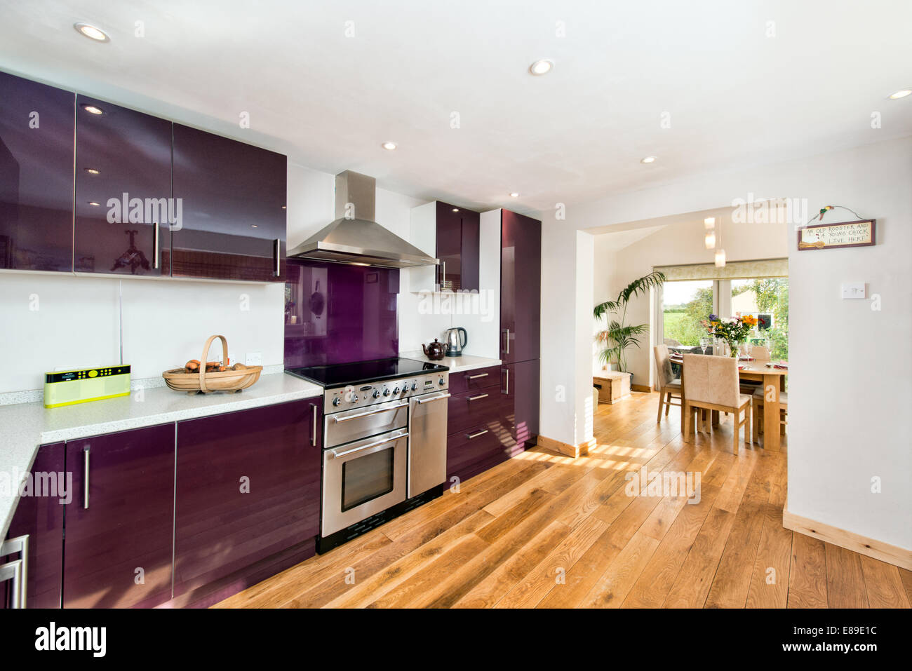A light, airey, contemporary designer kitchen diner decorated in aubergine & white with solid wood flooring Stock Photo