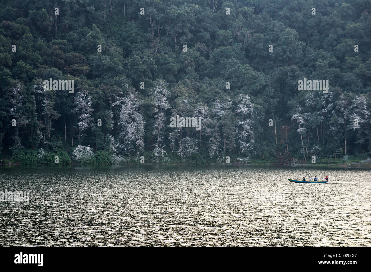 Boat on Phewa Lake, Pokhara, Nepal Stock Photo