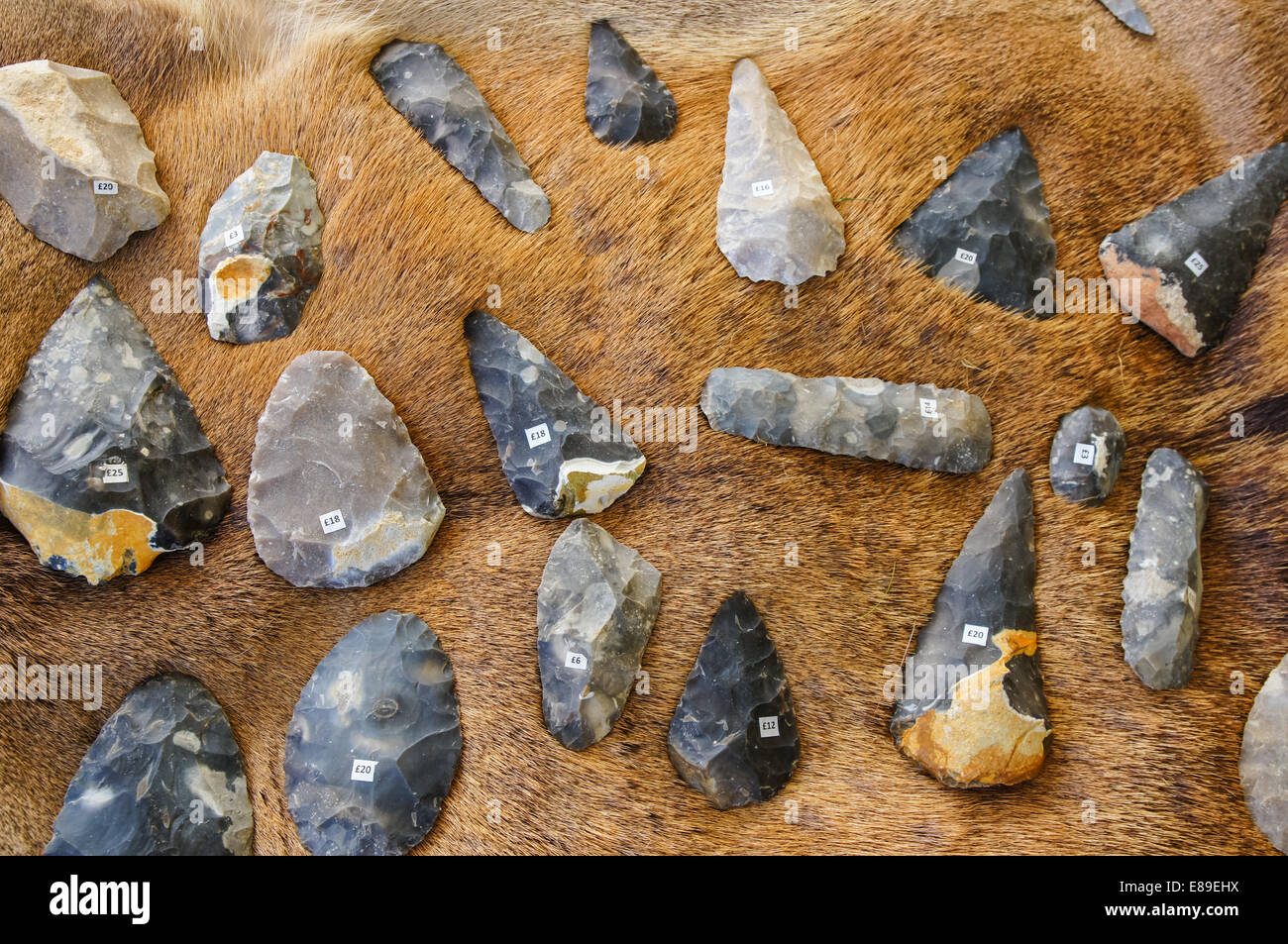 Archeology display London England United Kingdom UK Stock Photo