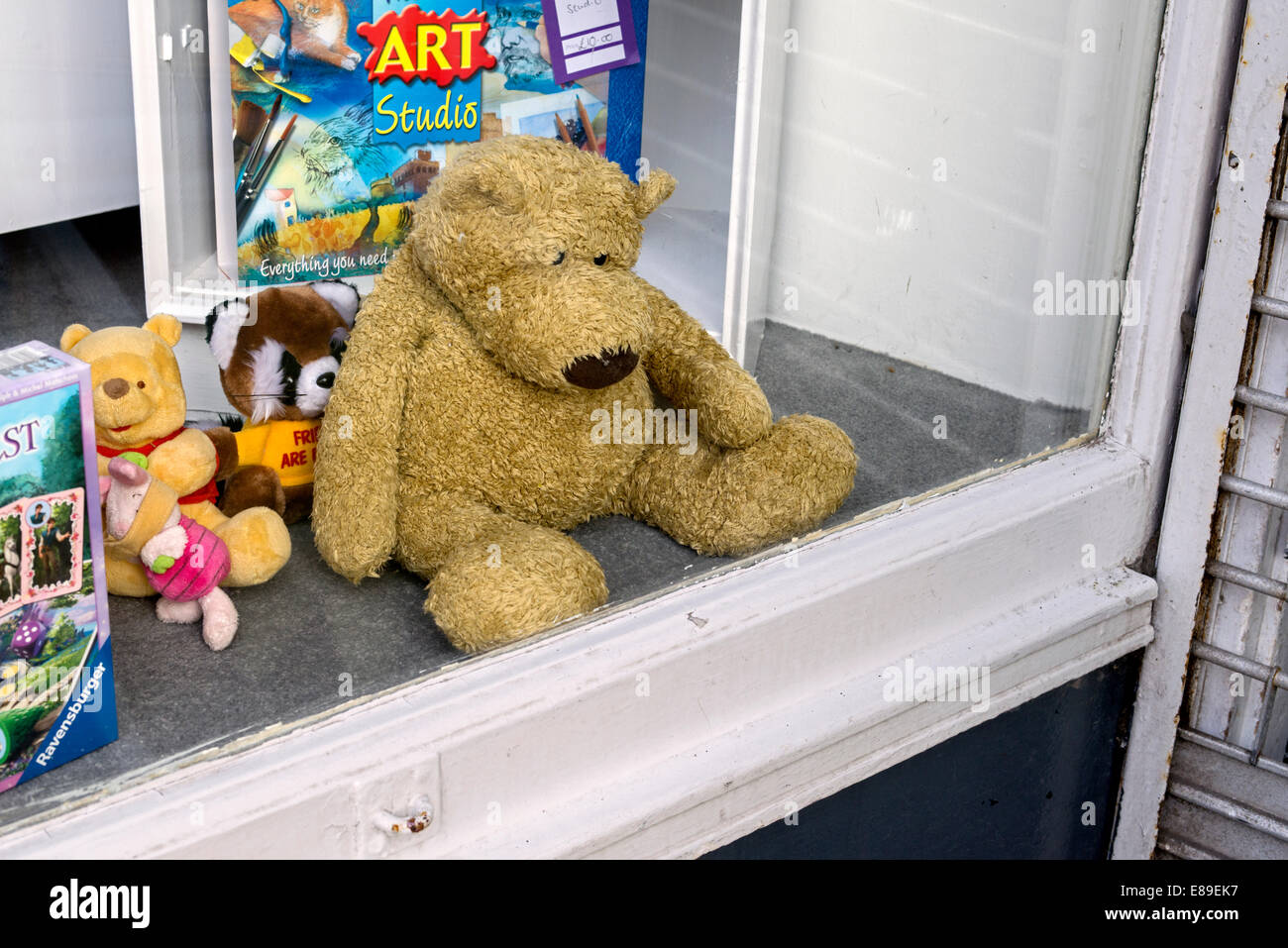 A very sad looking bear with some friends in the window of a charity shop in Edinburgh. Stock Photo