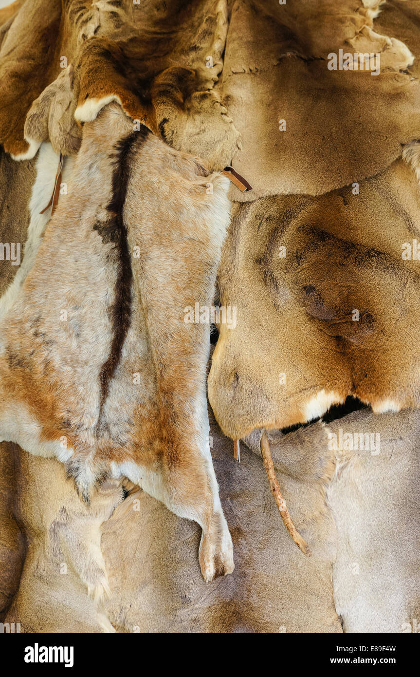 background made of real animal furs, pelts Stock Photo
