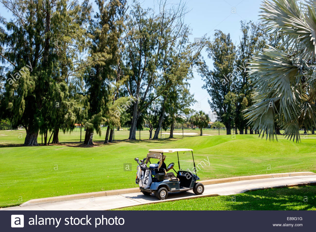 Golf Cart Florida High Resolution Stock Photography and Images Alamy
