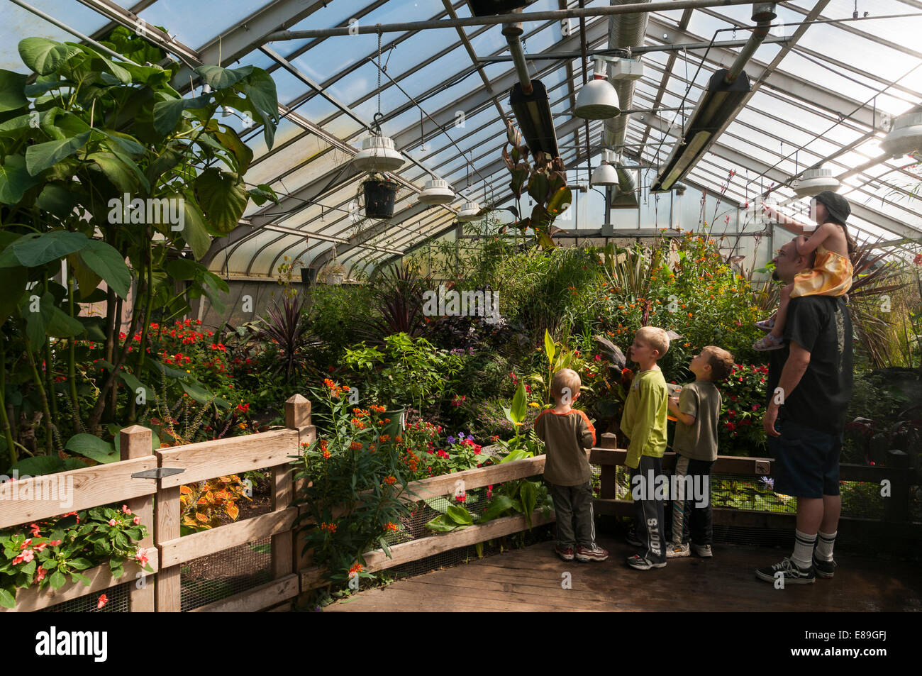 Calgary zoo hires stock photography and images Alamy