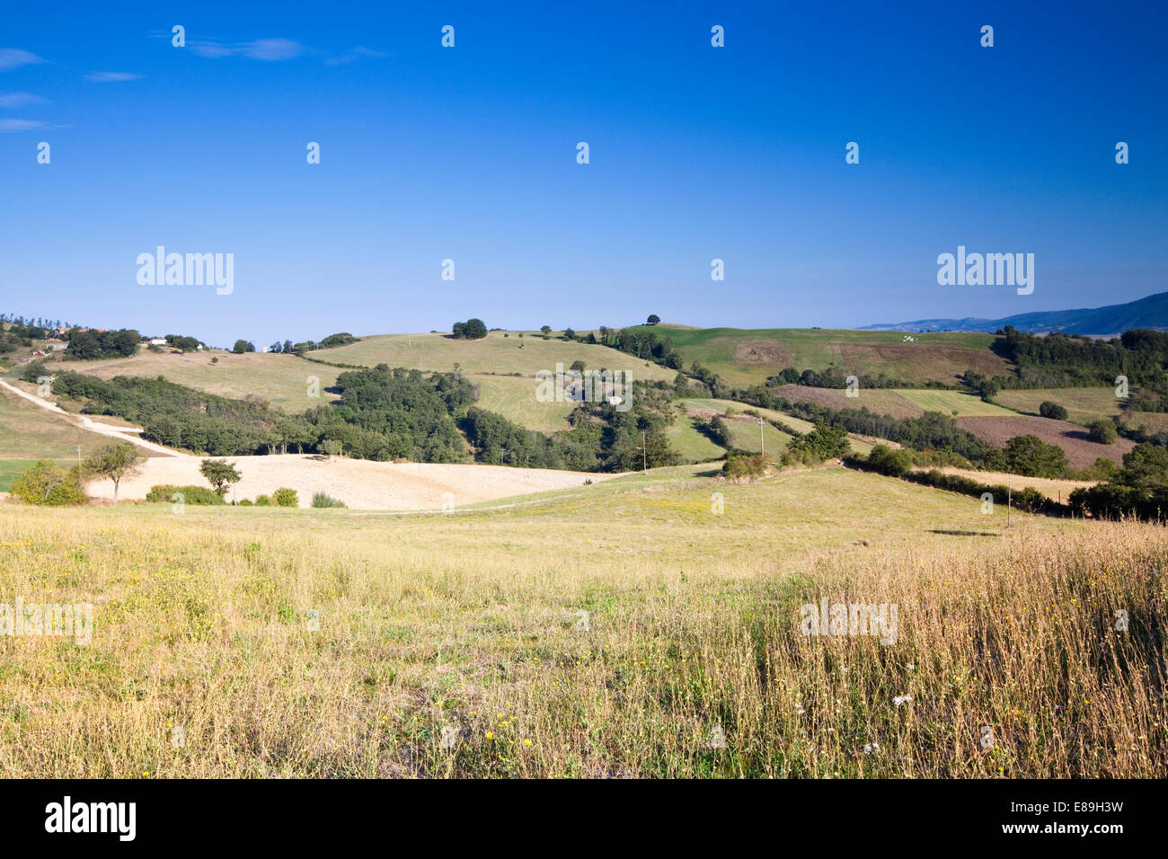 Rolling hills in Tuscany on a sunny day with dramatic clouds Stock Photo -  Alamy