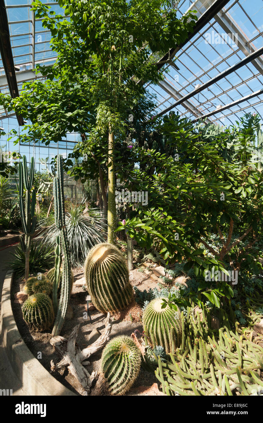 Elk2036376v Canada, Alberta, Calgary, Calgary Zoo, Butterfly House