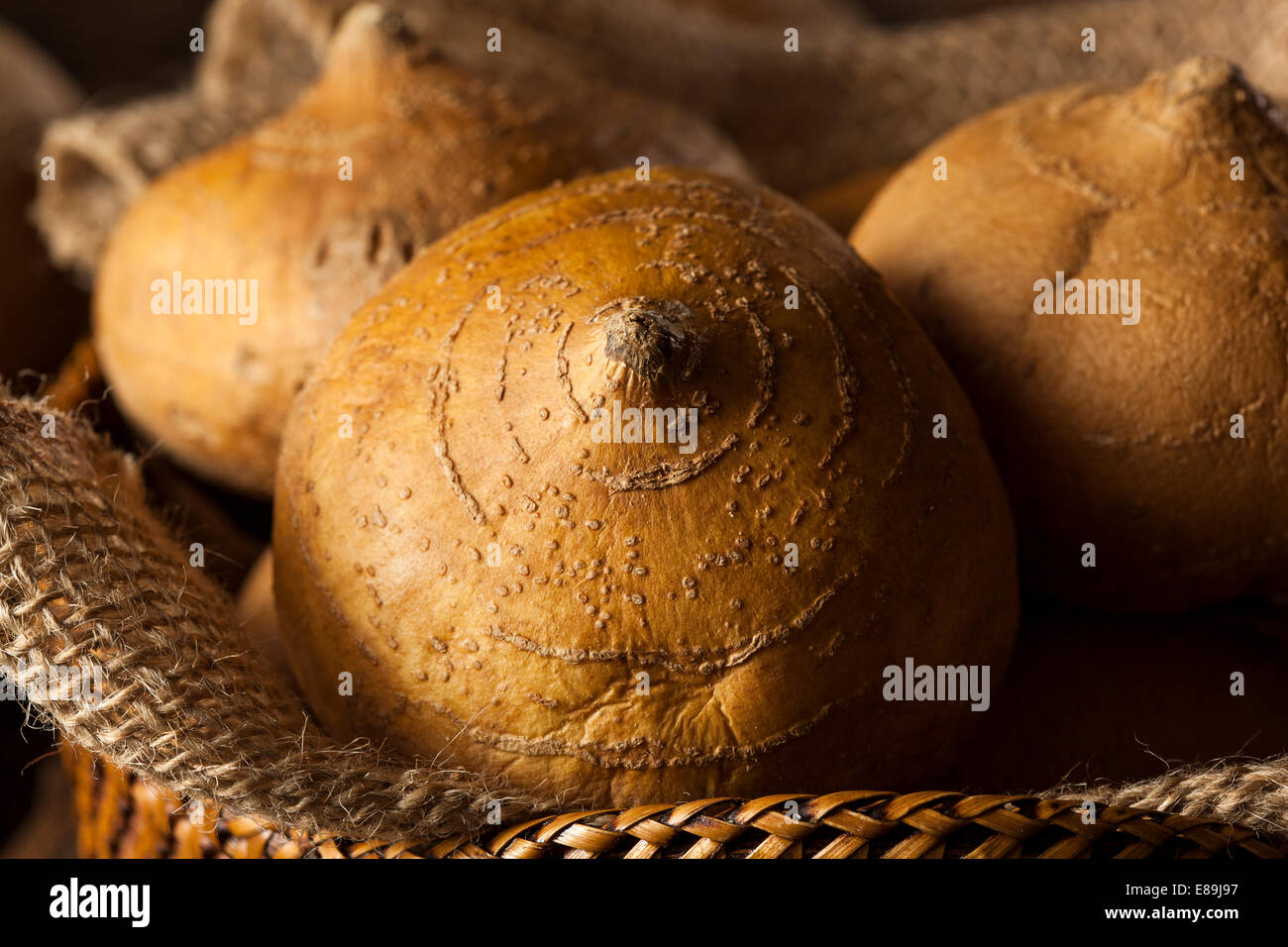 Raw Organic Brown Jicama in a Basket Stock Photo Alamy