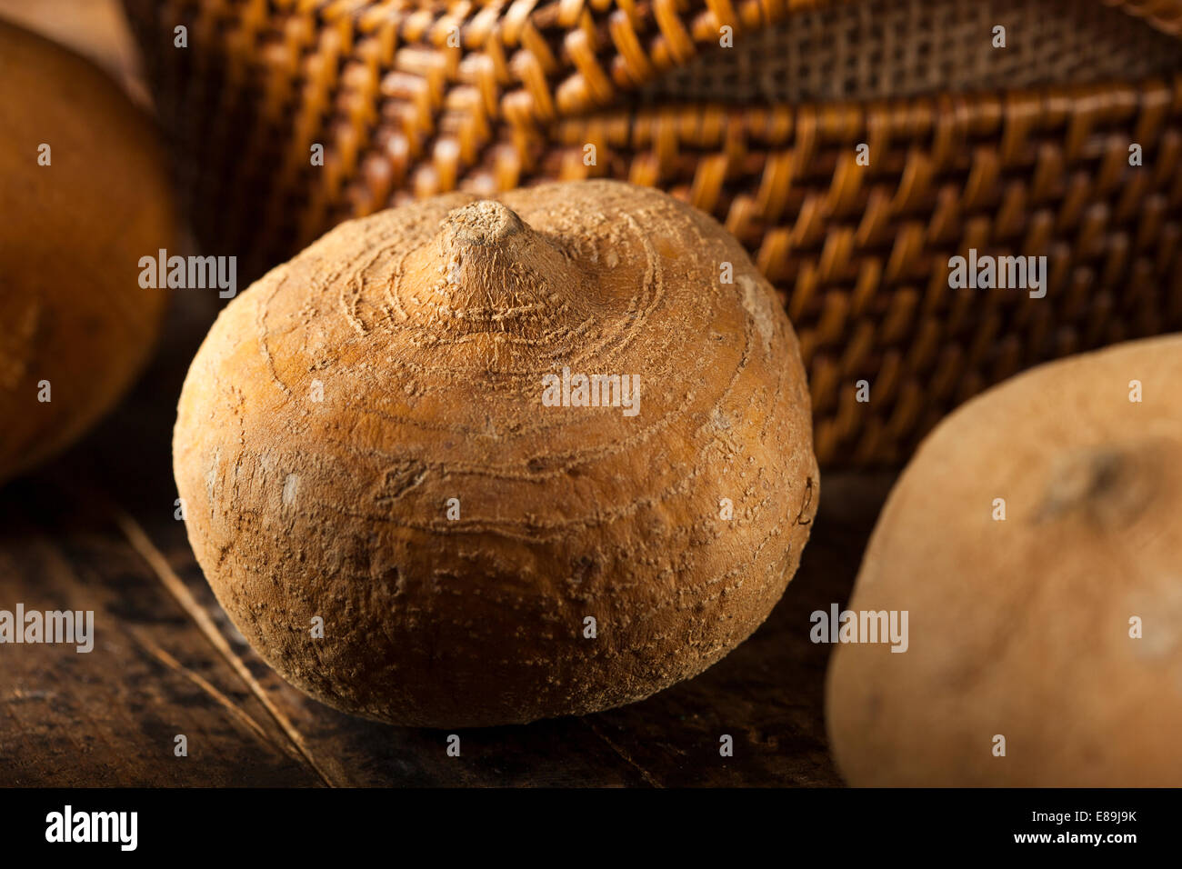 Raw organic brown jicama in hires stock photography and images Alamy