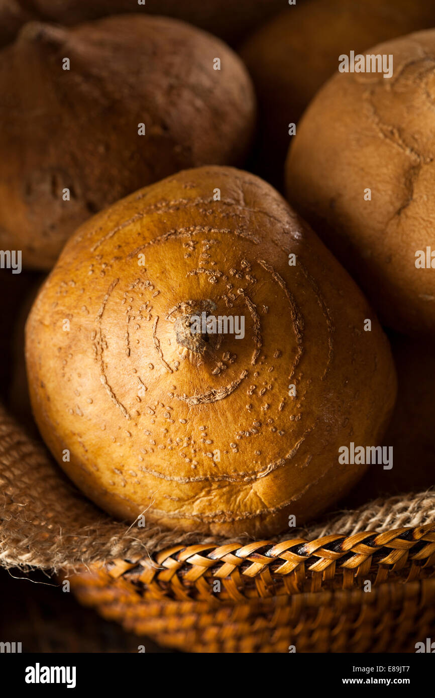 Raw Organic Brown Jicama in a Basket Stock Photo Alamy