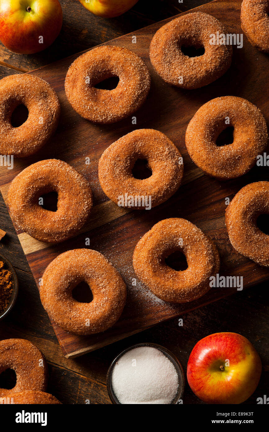 Warm Apple Cider Donuts Ready to Eat Stock Photo Alamy