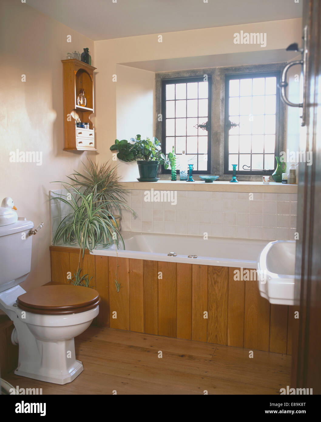 Houseplants on bath with tongue+groove panelling in white cottage bathroom Stock Photo
