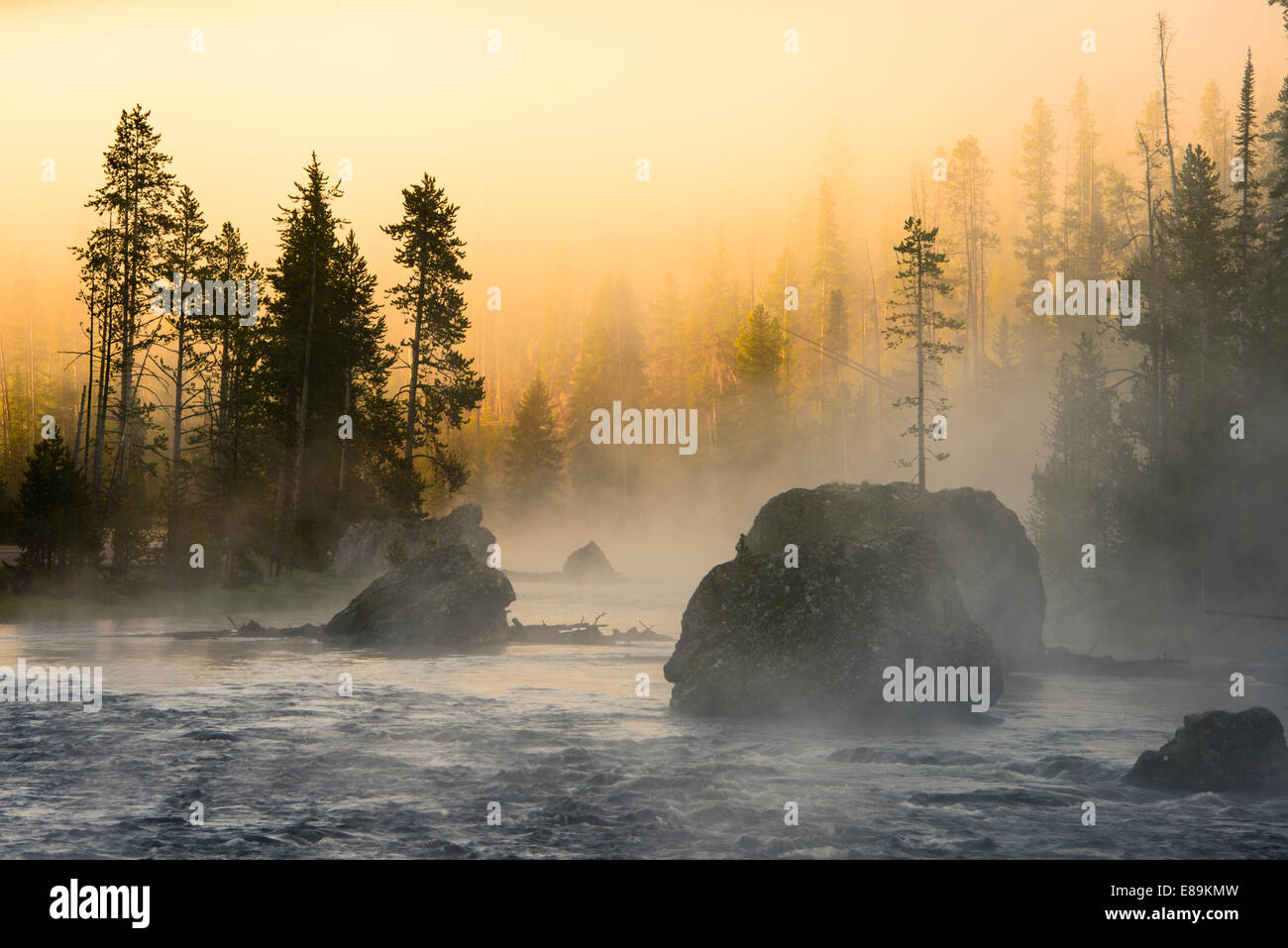 Foggy sunrise on the Firehole River in Yellowstone National Park. Stock Photo