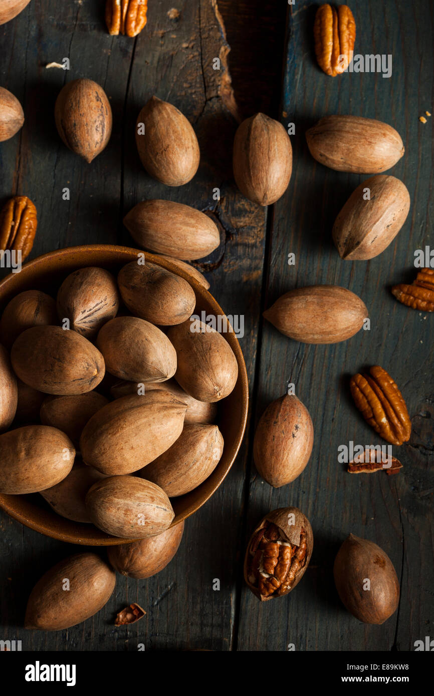 Raw Organic Whole Pecans Ready to Eat Stock Photo Alamy