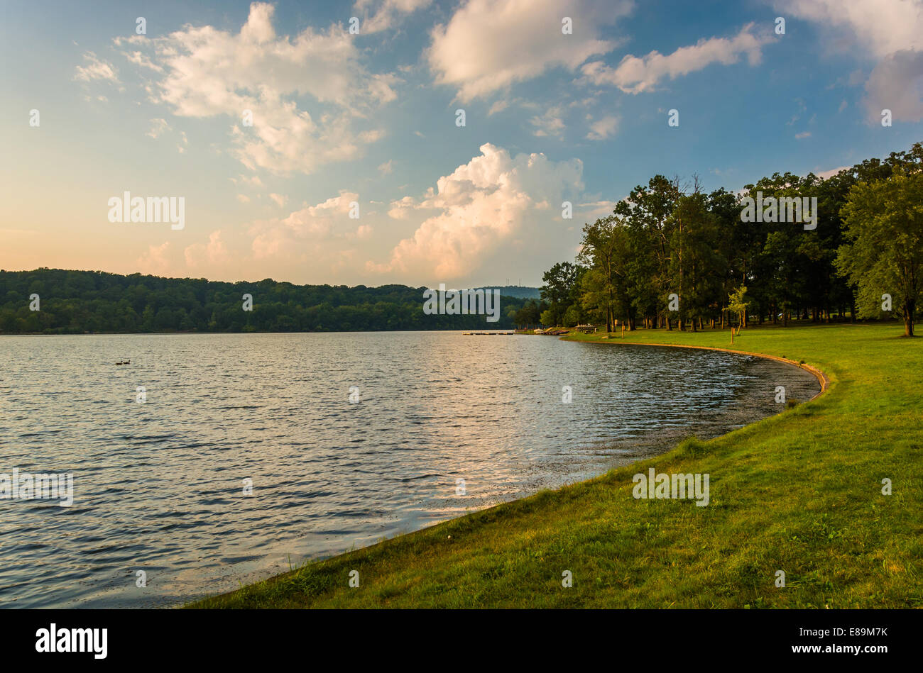 The shore of Lake Pinchot, Gifford Pinchot State Park, Pennsylvania ...