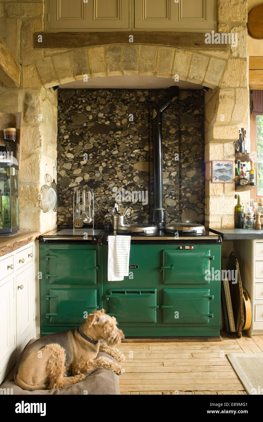 Dog lying in front of green Aga in country kitchen Stock Photo