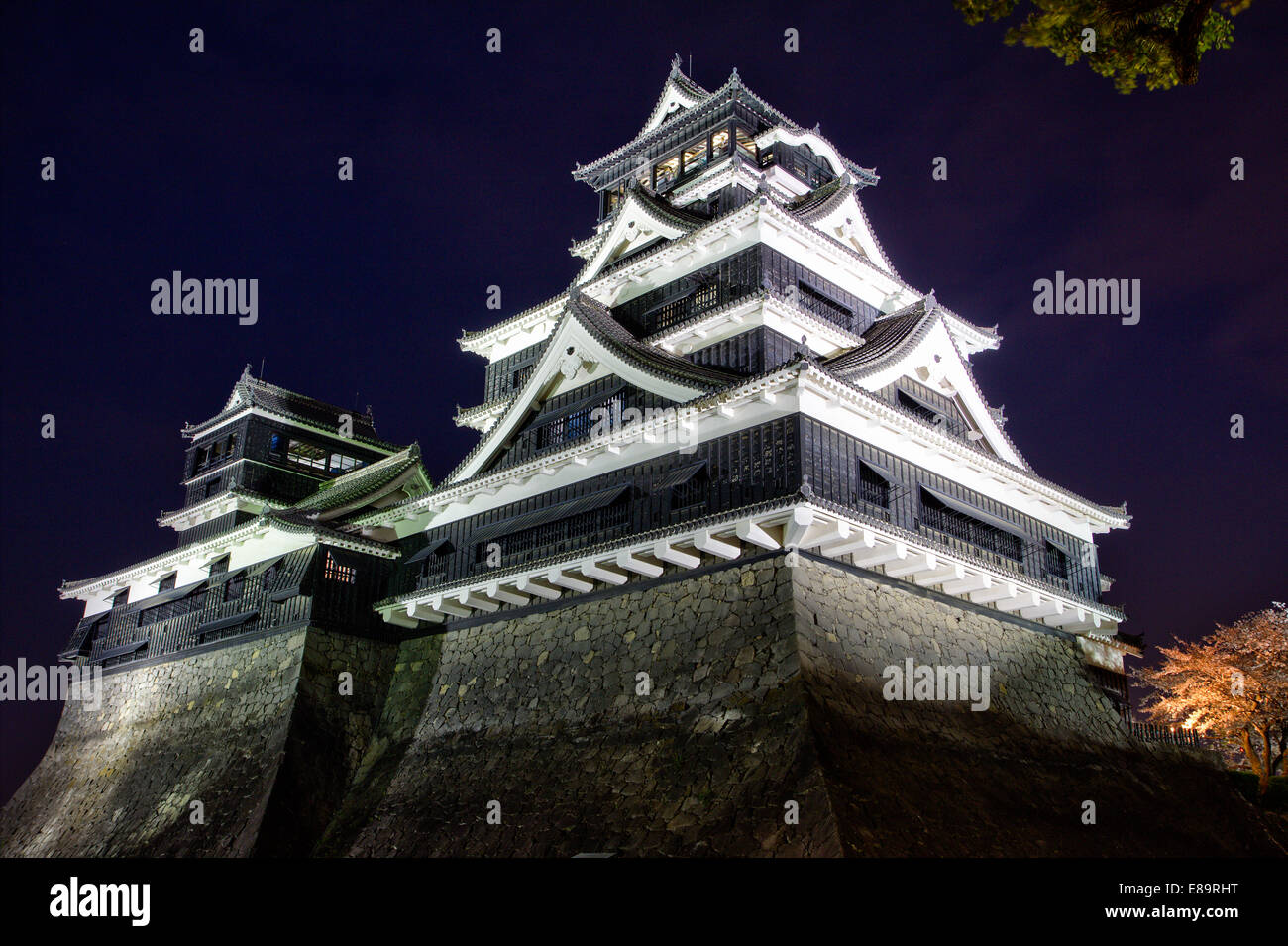 Pre 2016 earthquake, the massive double keep of Kumamoto castle in Japan illuminated at night with springtime cherry blossoms in front. Stock Photo