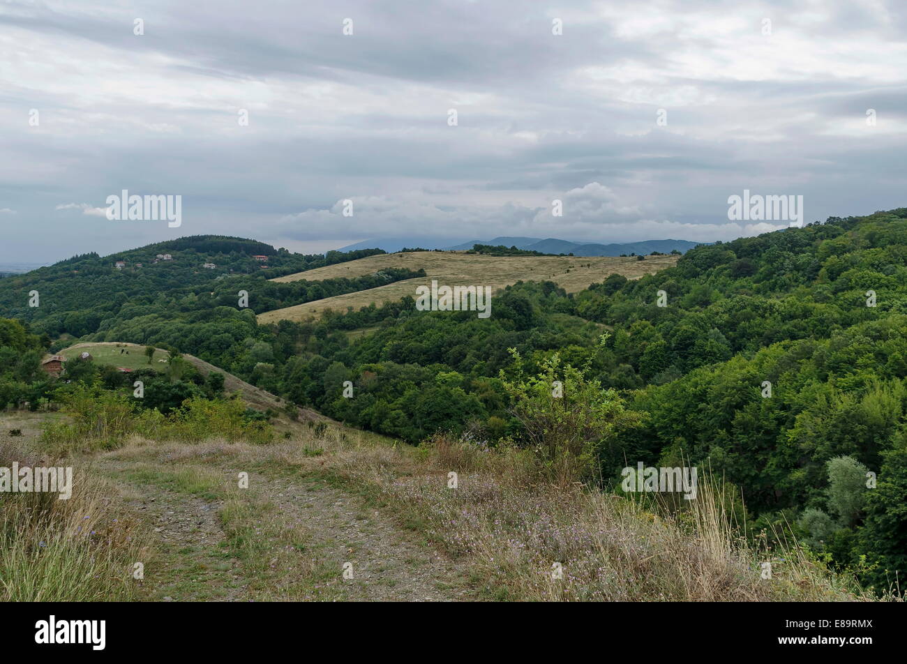 Landscape mountain forest hi-res stock photography and images - Alamy