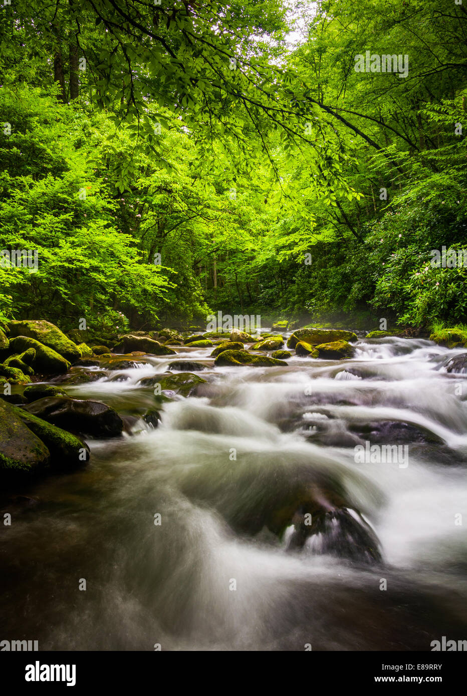 Cascades in the Oconaluftee River, at Great Smoky Mountains National Park, North Carolina. Stock Photo