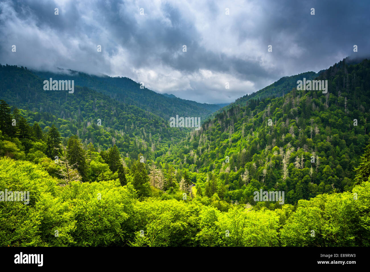 Dramatic view of the Appalachian Mountains from Newfound Gap Road, at