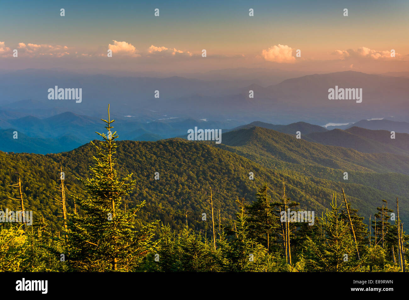 Evening view of the Appalachian Mountains from Clingman's Dome in Great