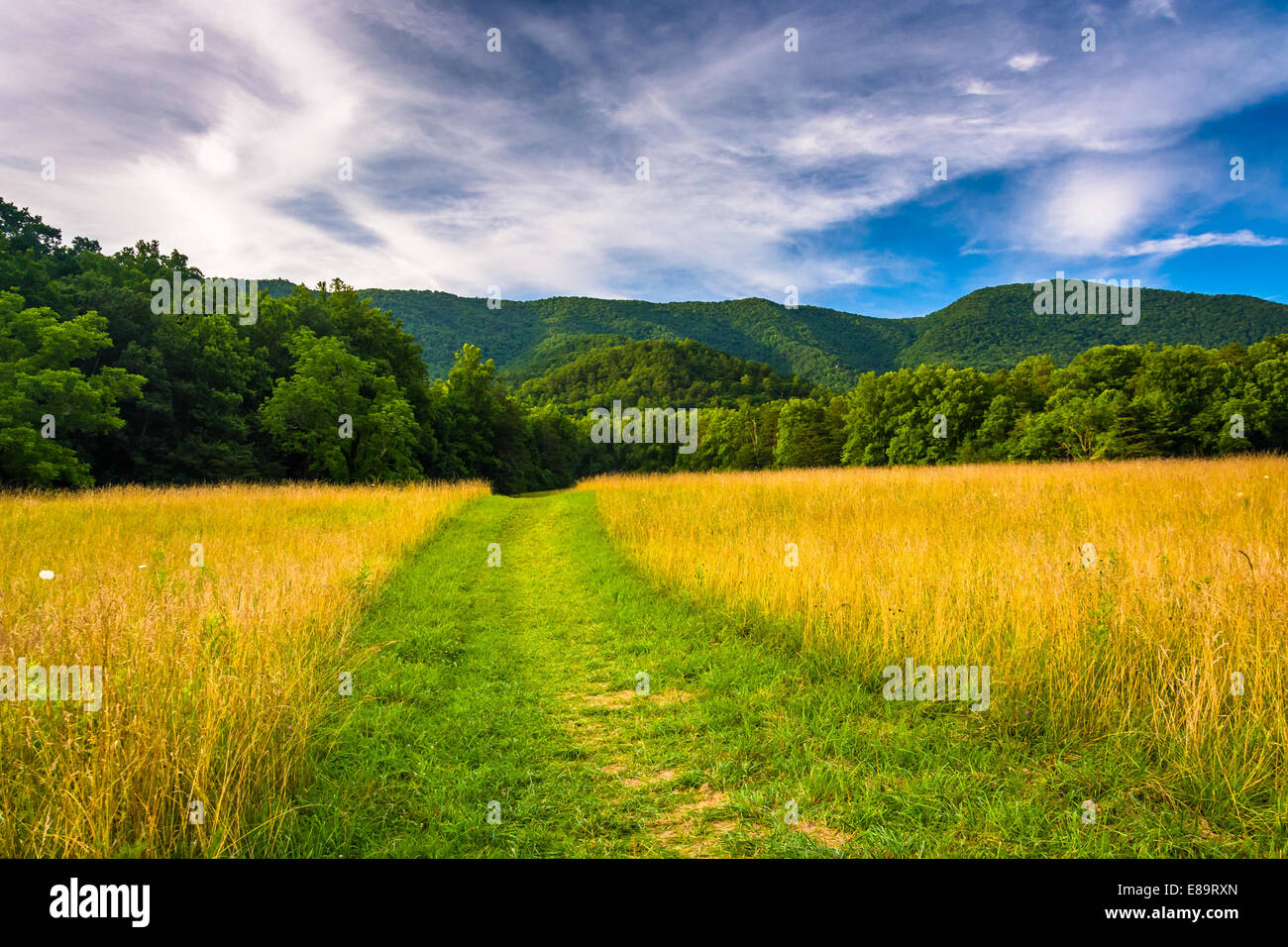 Field and mountains at Cade's Cove, Great Smoky Mountains National Park, Tennessee. Stock Photo