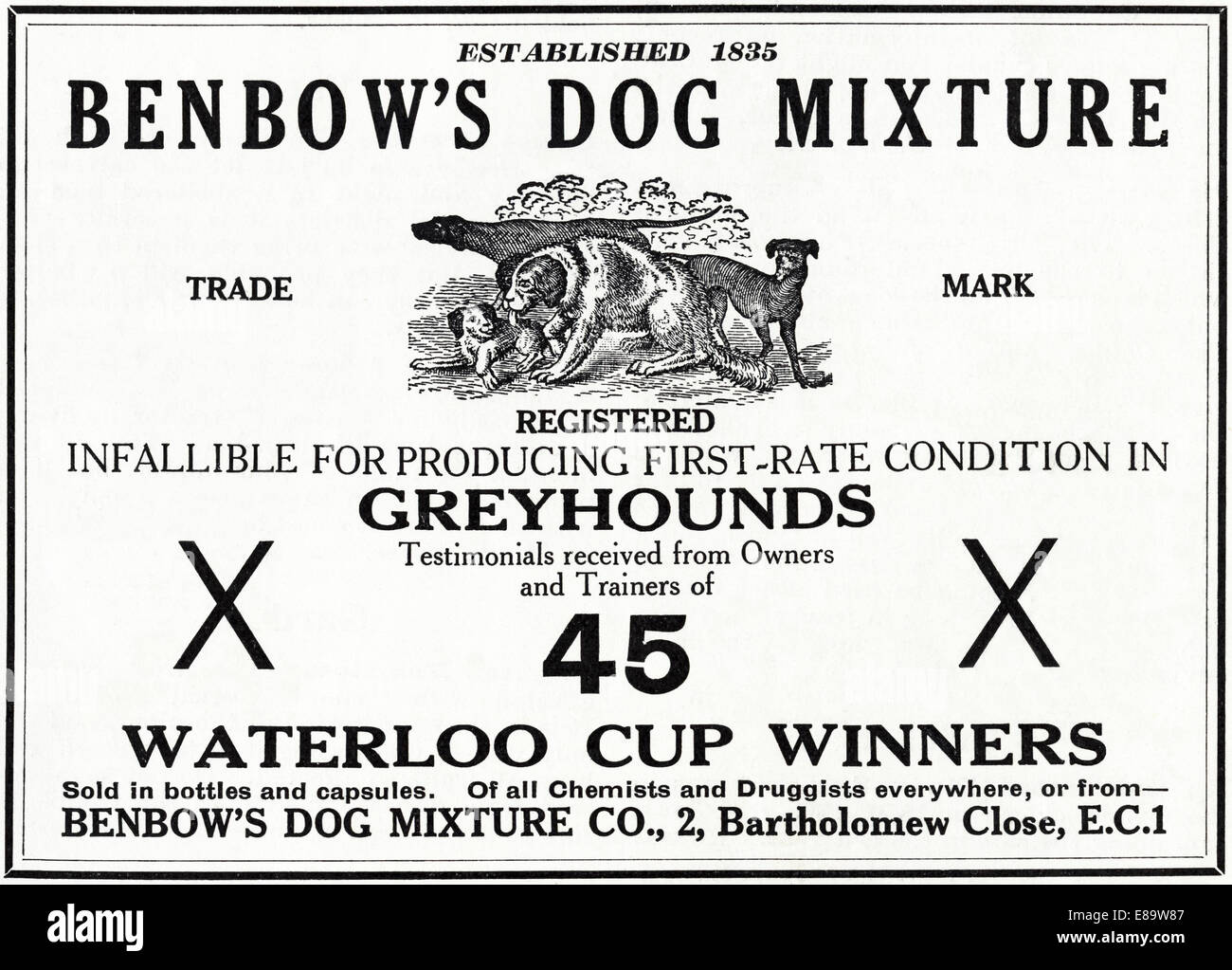 1920's advertisement for BENBOW'S DOG MIXTURE of London conditioning food for greyhounds in English magazine dated June 1929 Stock Photo