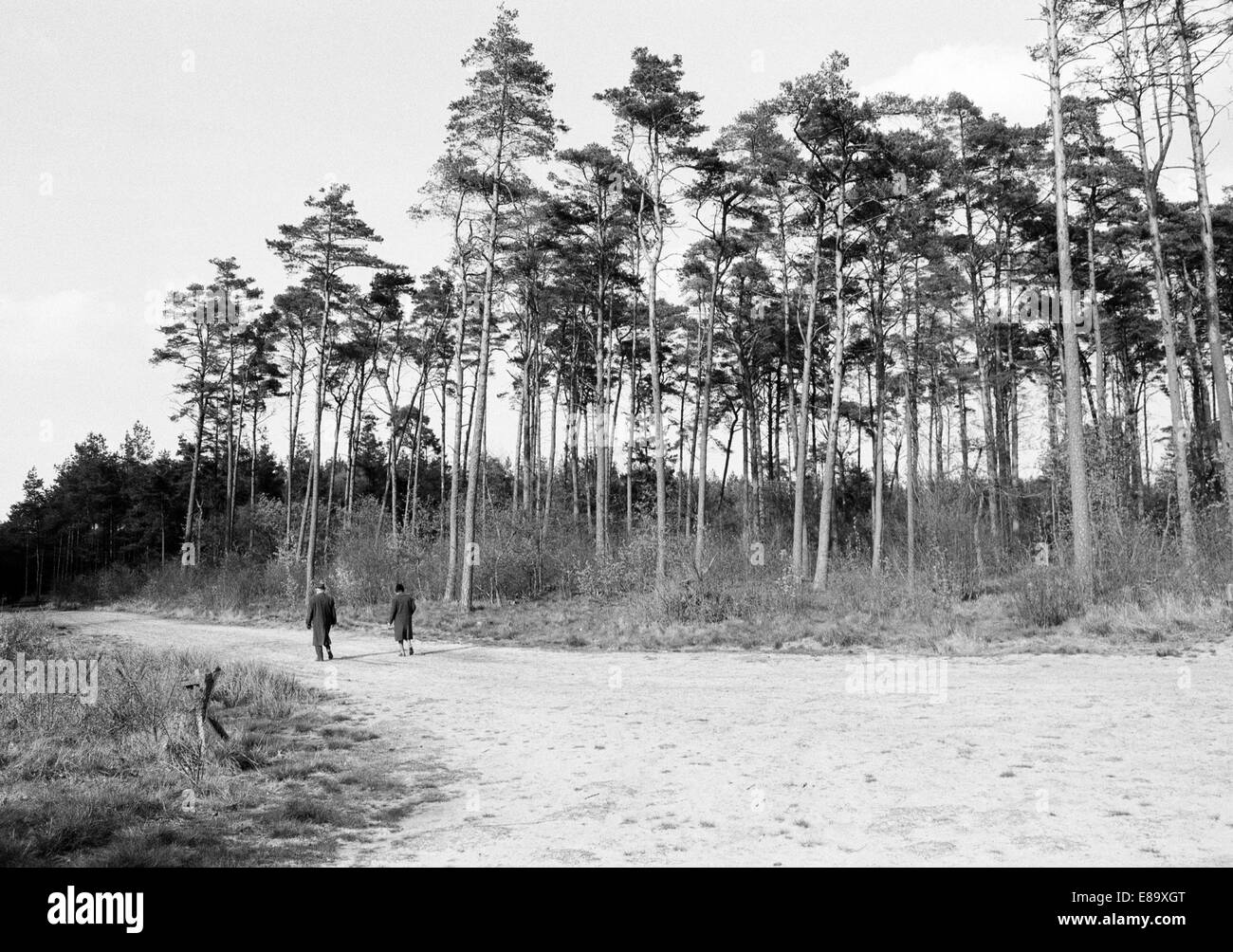 Achtziger Jahre, aelteres Paar beim Spaziergang in der Geestlandschaft Heseler Wald in Hesel, Geestruecken, Ostfriesland, Niedersachsen Stock Photo