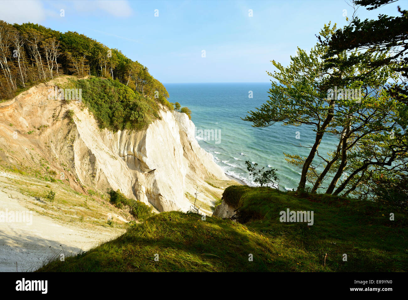 The chalk cliffs of Møns Klint, Møn or Moen Island, Denmark Stock Photo