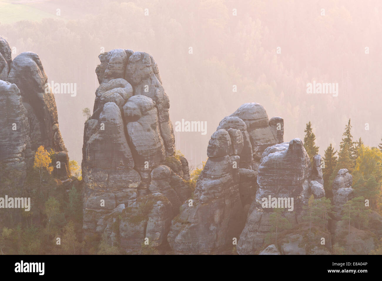 Rocks in the Elbe Sandstone Mountains in the morning mist in autumn, Saxon Switzerland, Bad Schandau, Saxony, Germany Stock Photo