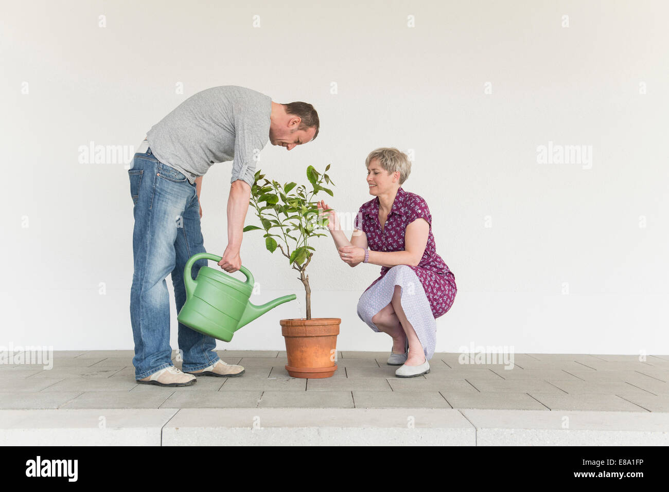 Mature couple caring for little tree Stock Photo