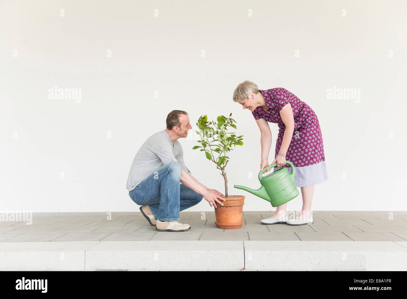 Mature couple caring for little tree, smiling Stock Photo