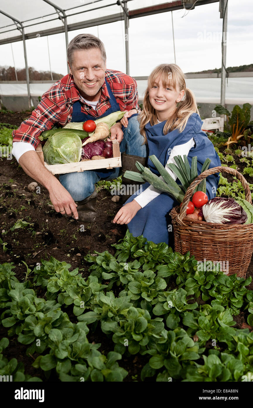 Father and daughter harvesting vegetables in greenhouse Stock Photo