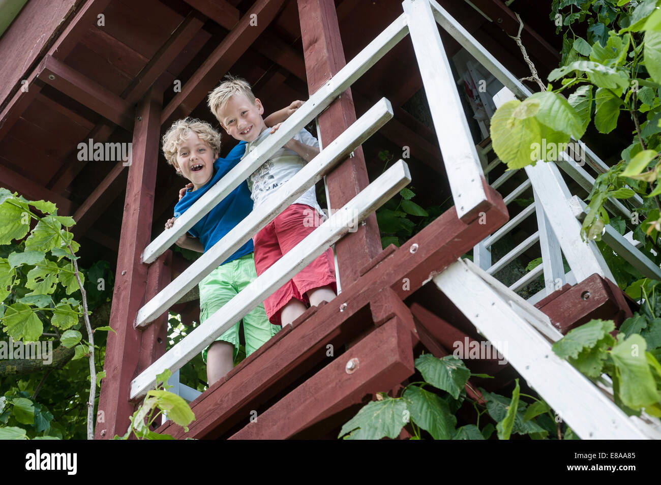 Young boys tree-house balcony ladder happy Stock Photo