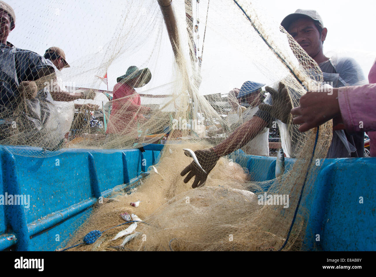 Fish market. Bali. Indonesia Stock Photo Alamy