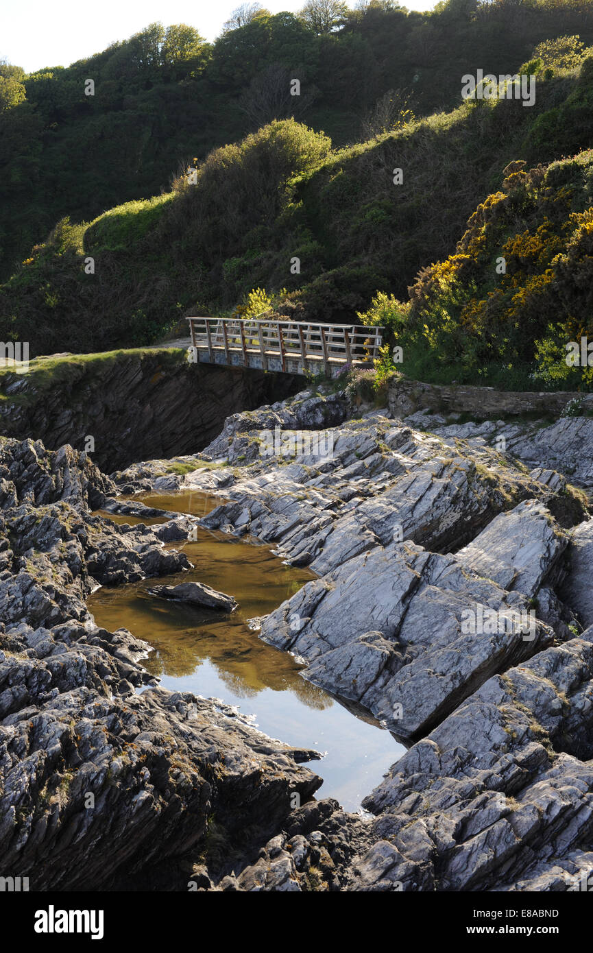 Coast path near Dartmouth Stock Photo Alamy