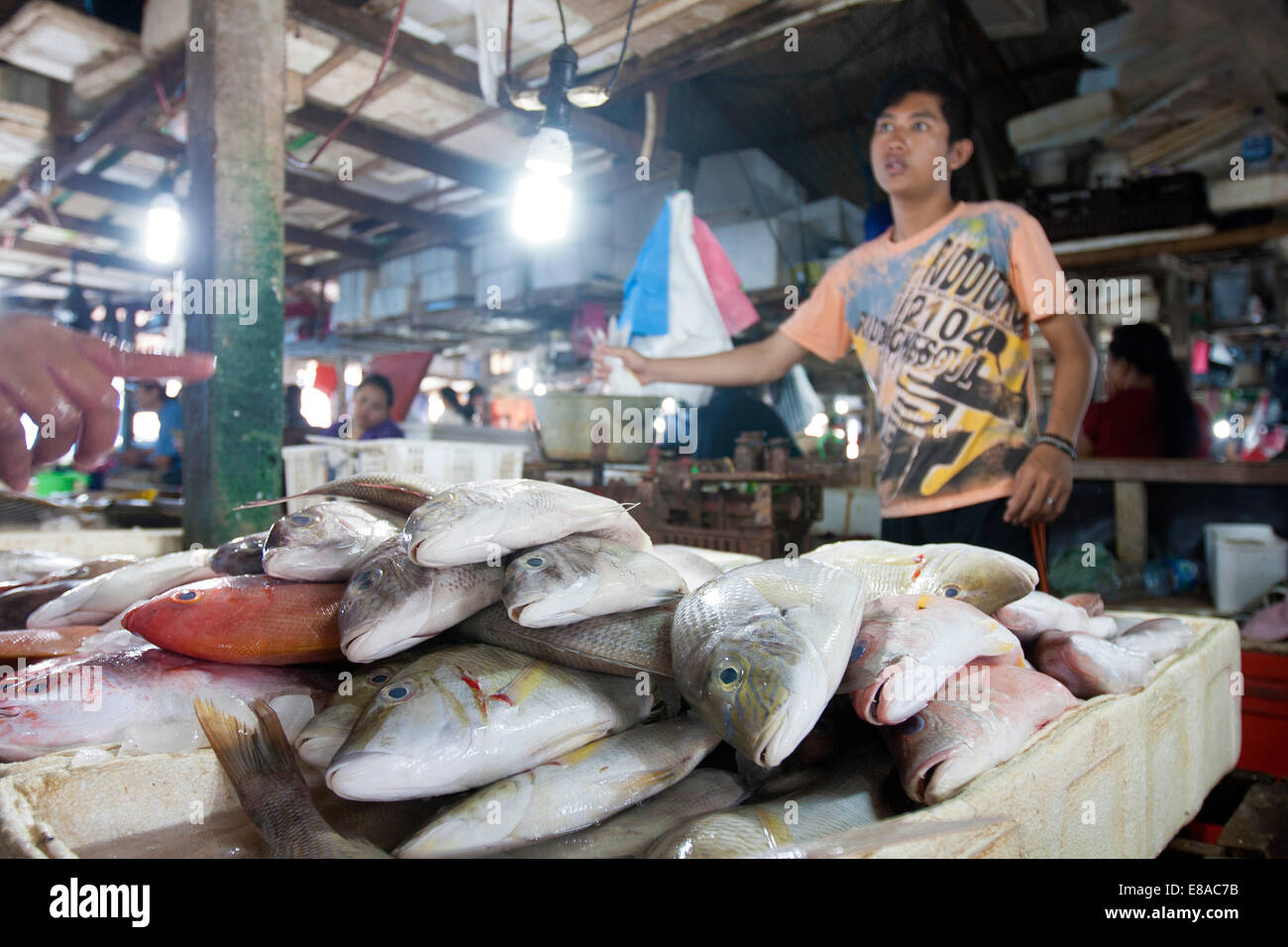 Fish market. Bali. Indonesia Stock Photo Alamy