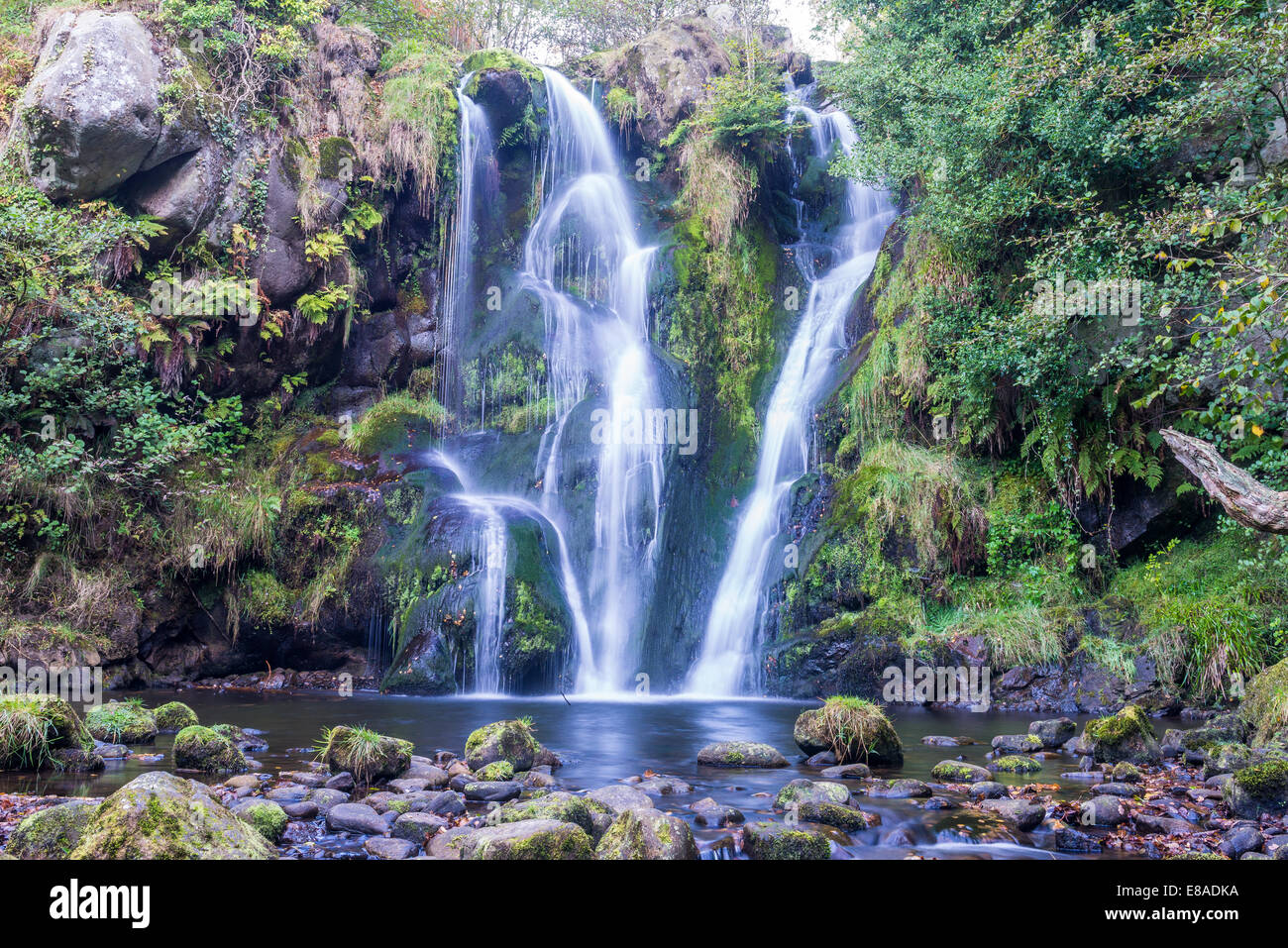 Posforth Gill Waterfall in the Valley of Desolation, Whafedale Yorkshire Dales, UK Stock Photo
