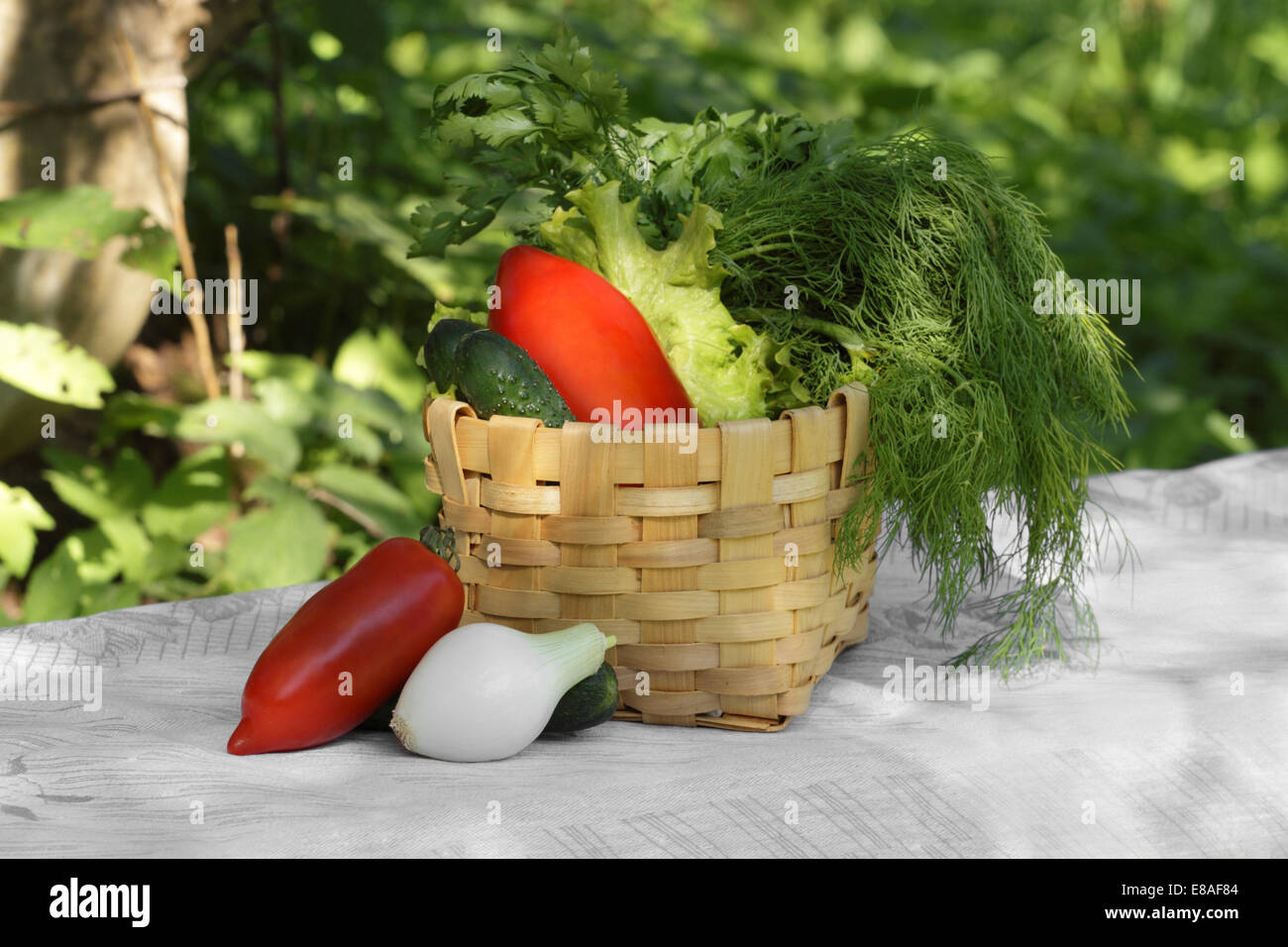 Basket with vegetables placed on table covered with tablecloth on natural background Stock Photo
