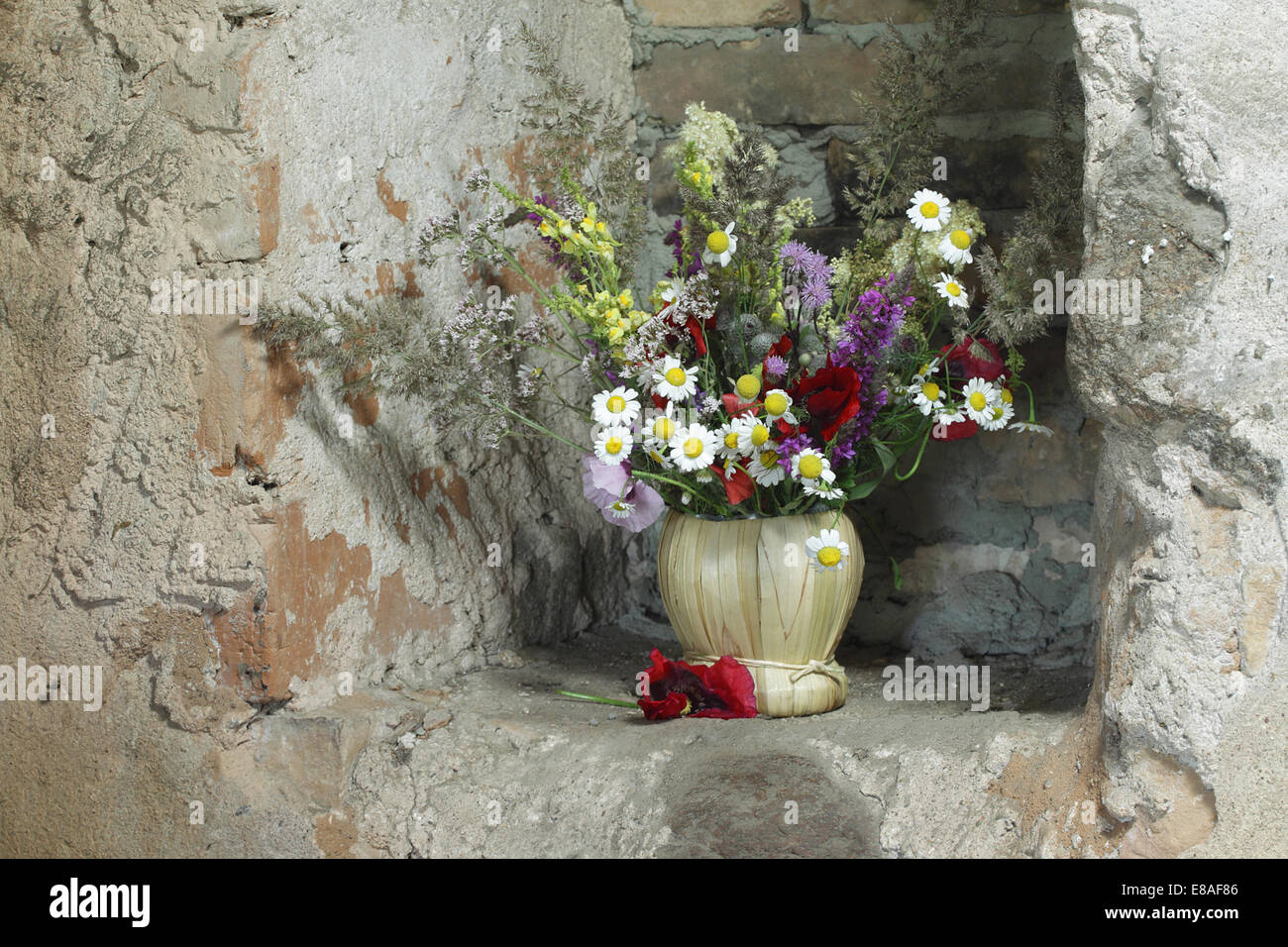Bouquet of wild flowers in niche of old stone wall Stock Photo