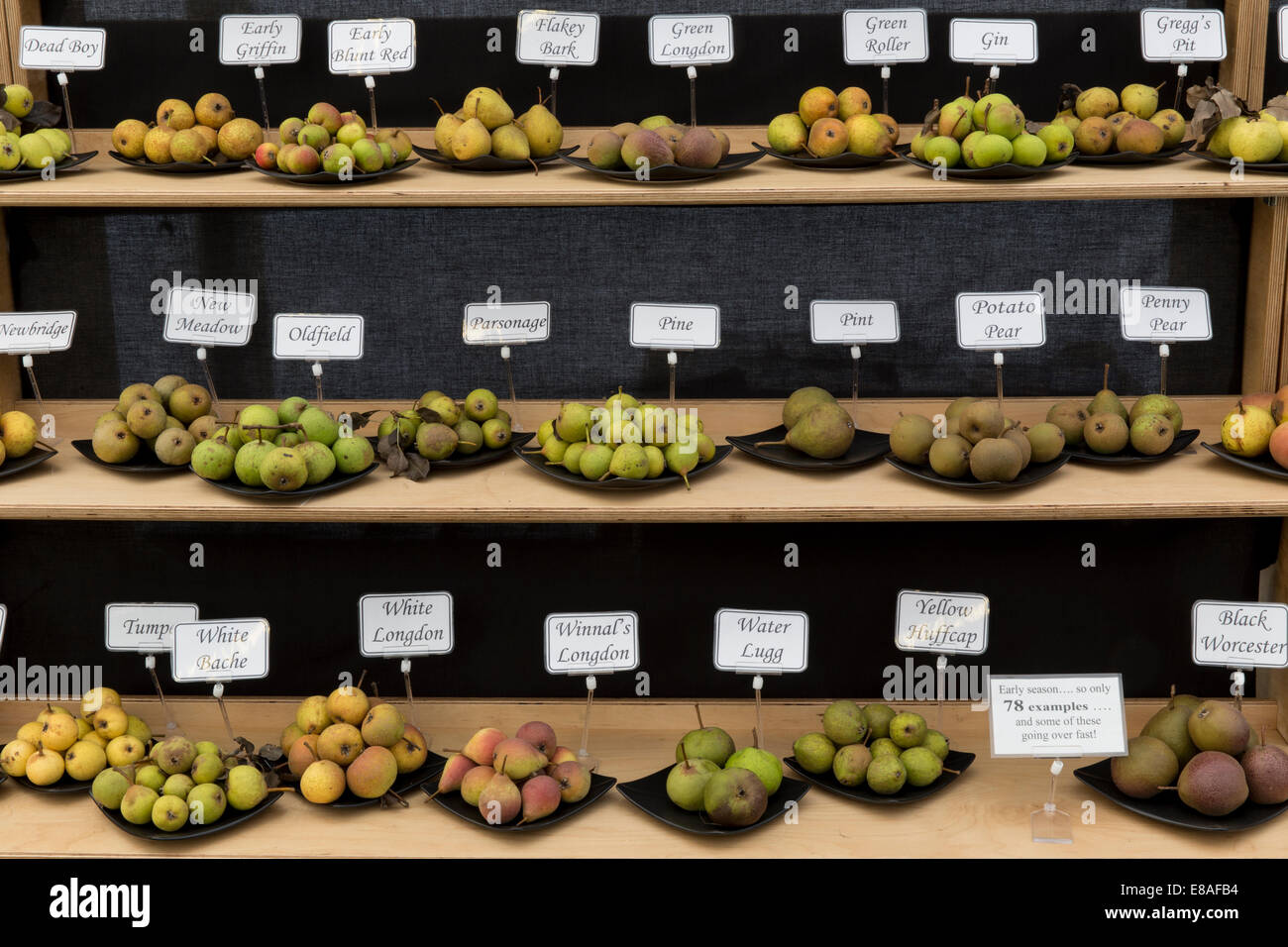 Malvern Autumn RHS show 2014 display of Perry pears Stock Photo