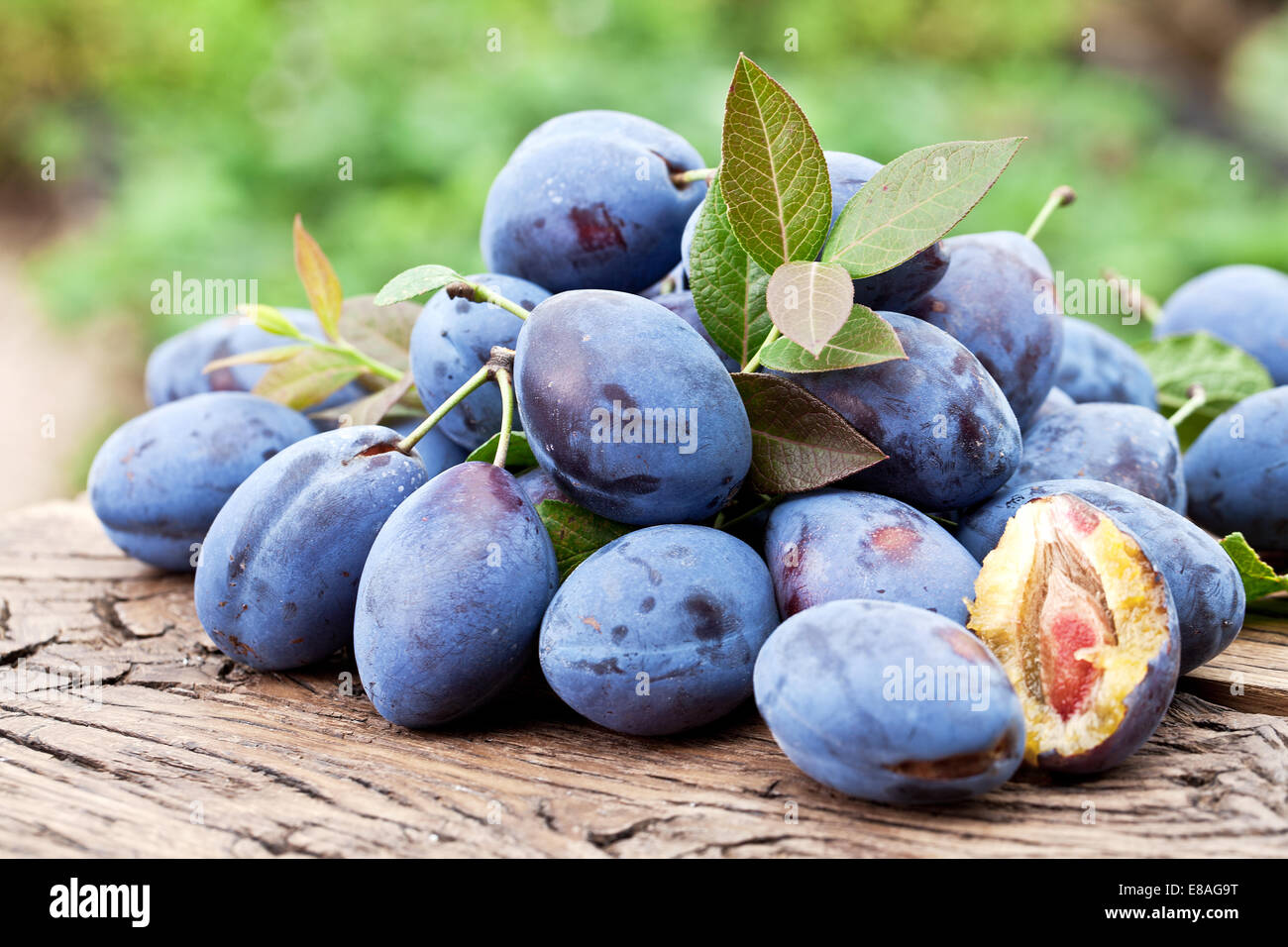 Plums on an old wooden table in the garden. Stock Photo