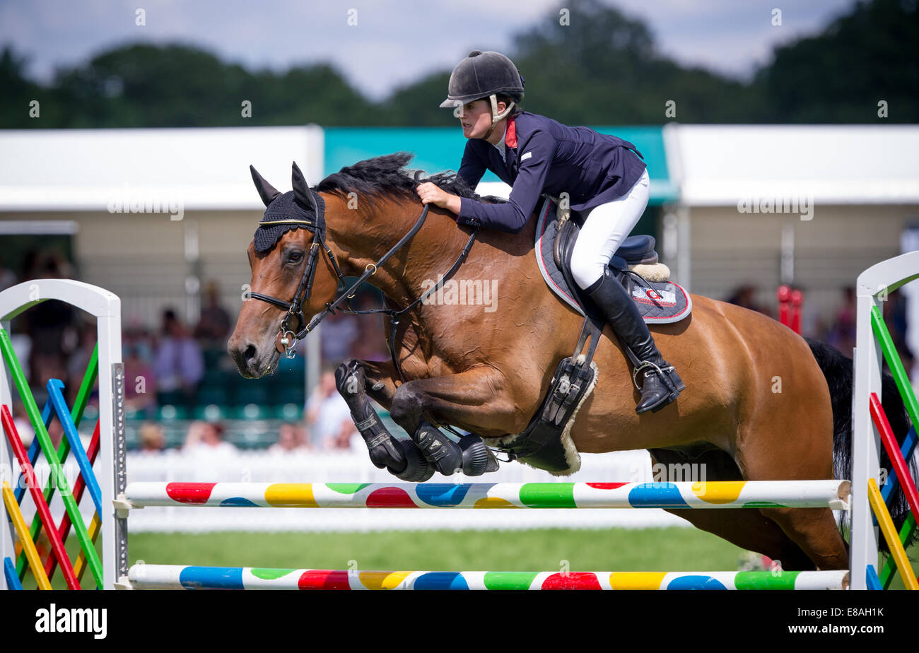 Horse show jumping at the new forest show Hampshire england Stock Photo