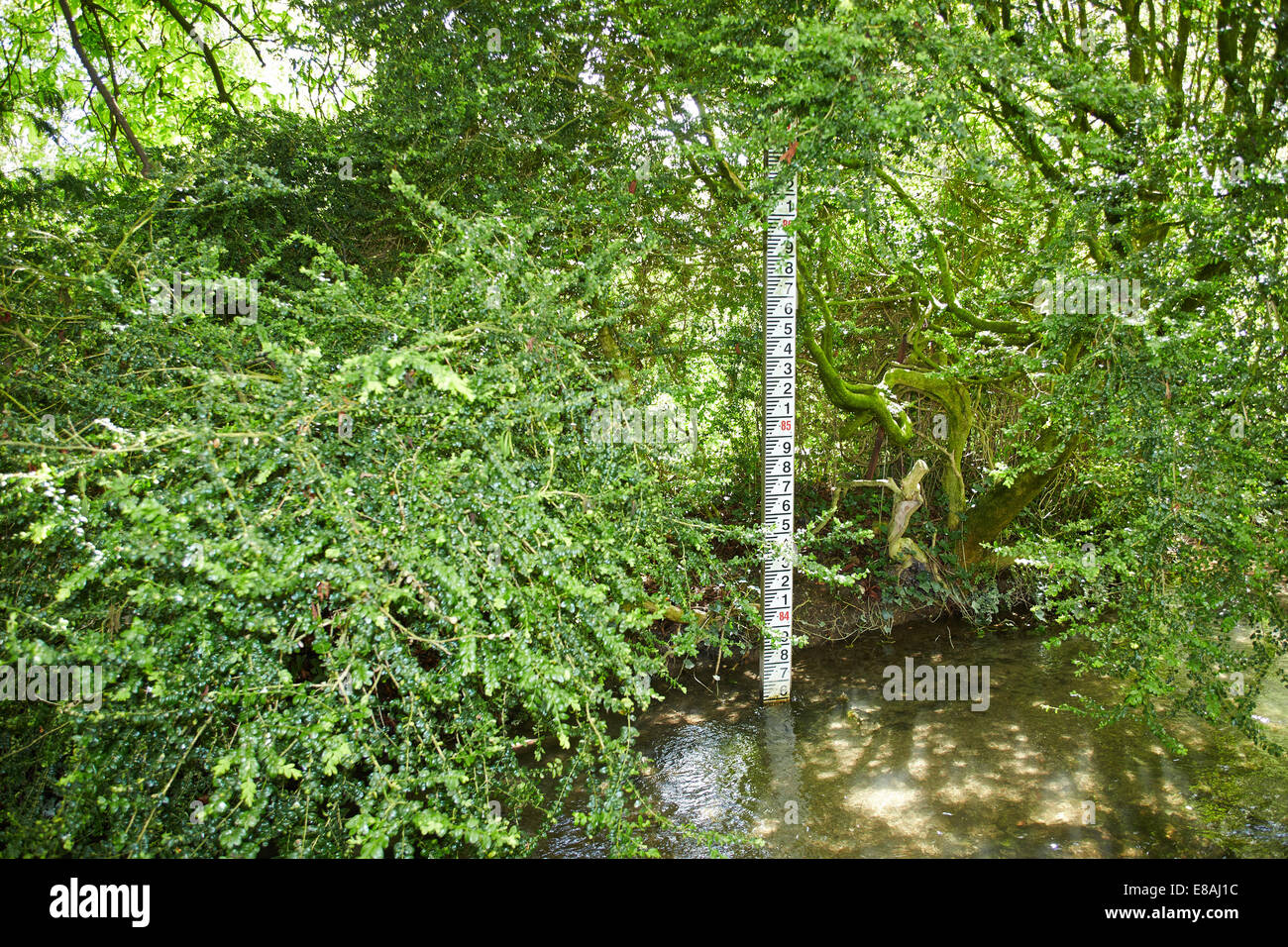 Large river level gauge on the Letcombe Brook, a rare chalk stream, in Wantage Stock Photo