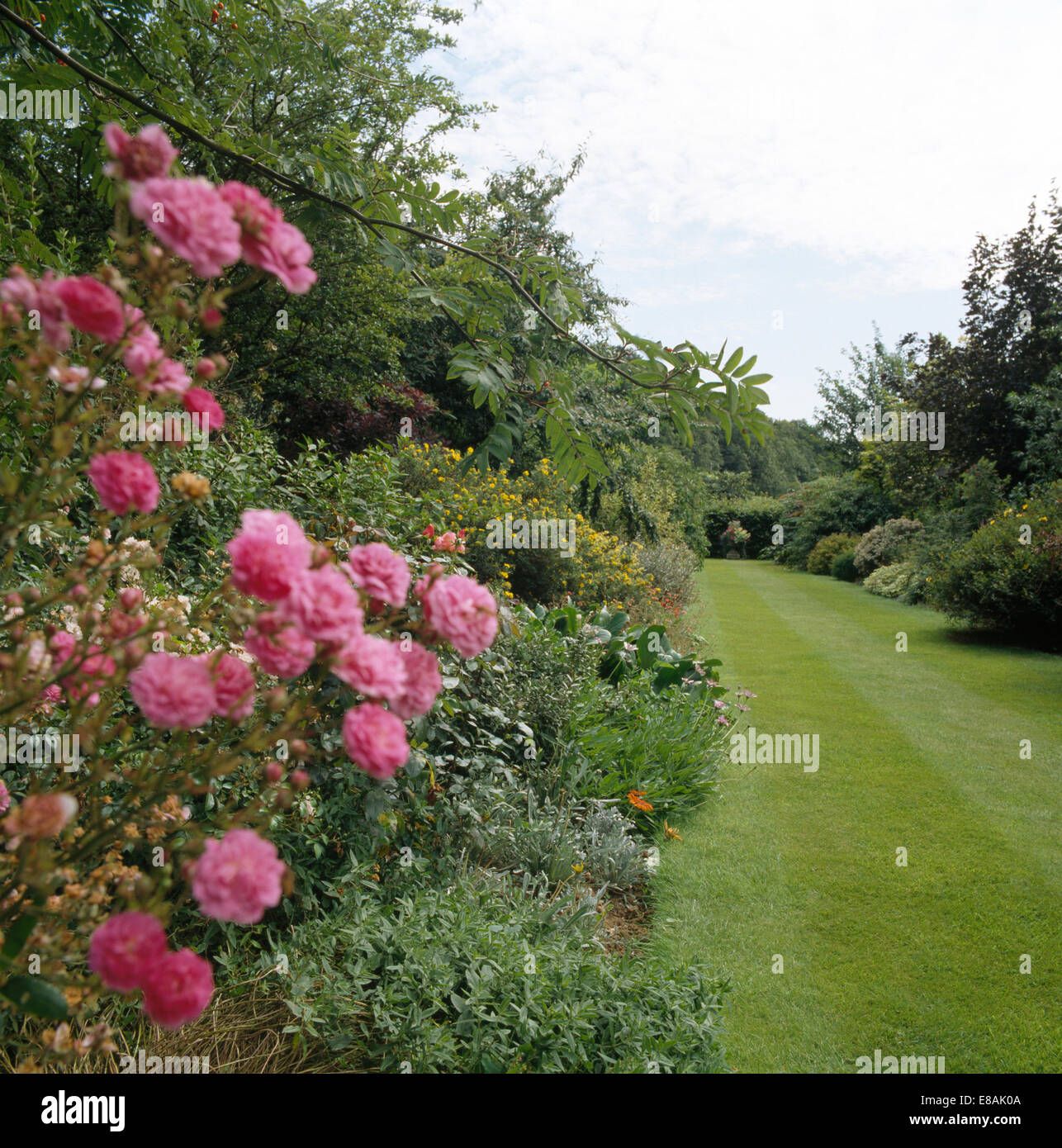 Herbaceous border path hi-res stock photography and images - Alamy